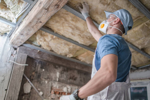 Best Fiberglass Insulation  in Westfield, WI