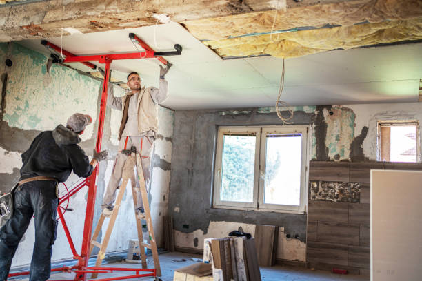 Best Attic Insulation Installation  in Westfield, WI