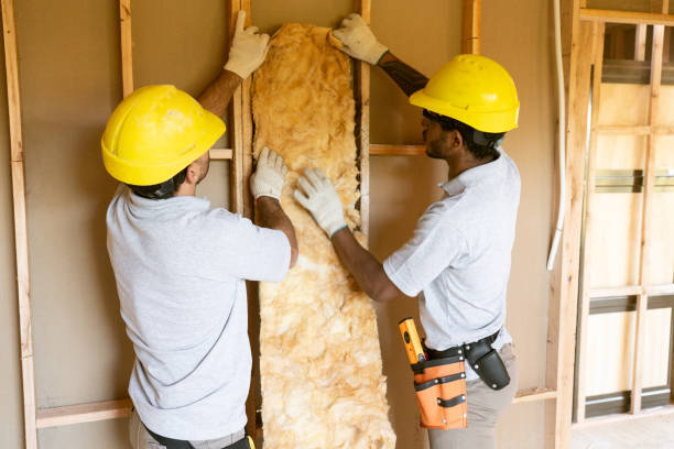 Best Insulation Contractor Near Me  in Westfield, WI