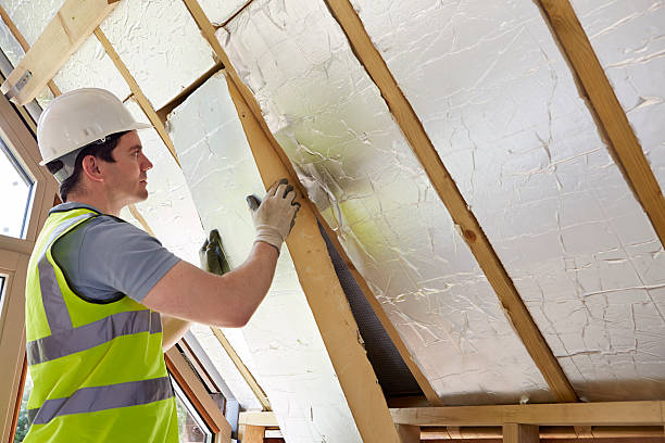 Best Attic Insulation Installation  in Westfield, WI